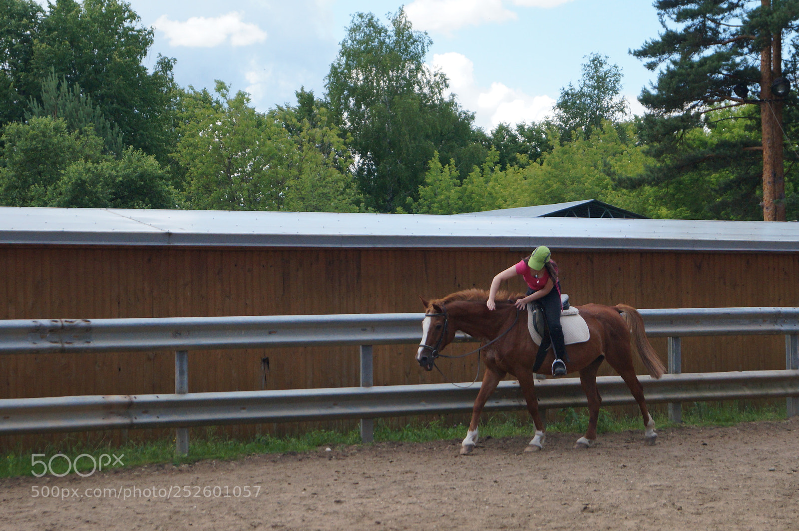 Sony SLT-A57 sample photo. Untitled photography