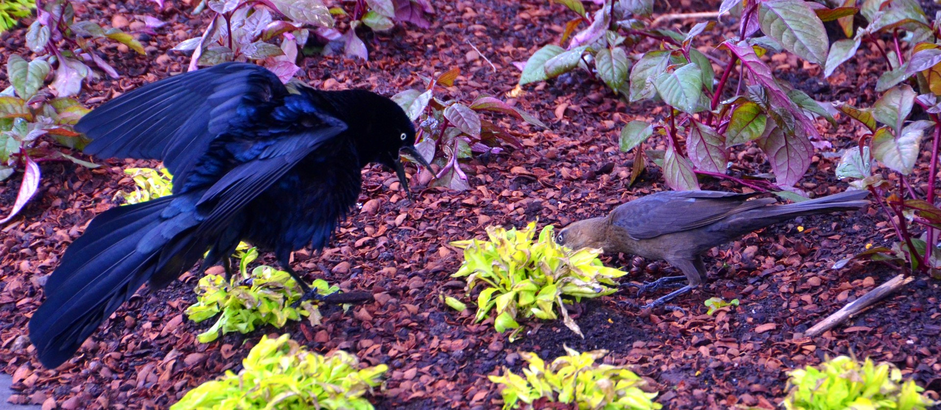 Nikon D7000 sample photo. Dallas arboretum photography