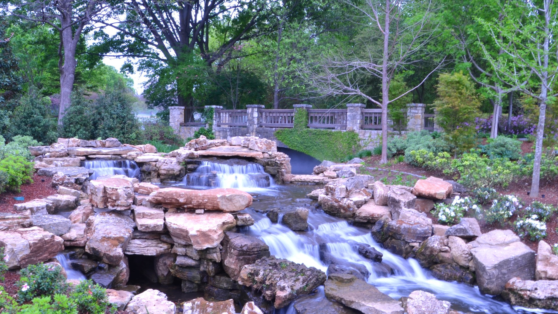 Nikon D7000 sample photo. Dallas arboretum photography