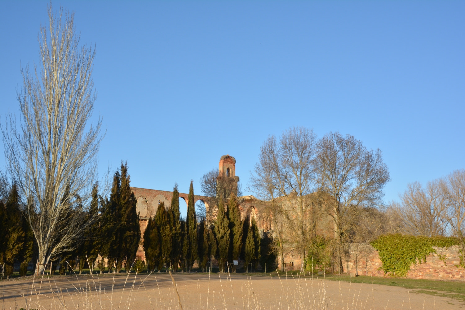 Nikon D5200 sample photo. 180226_056.jpg photography