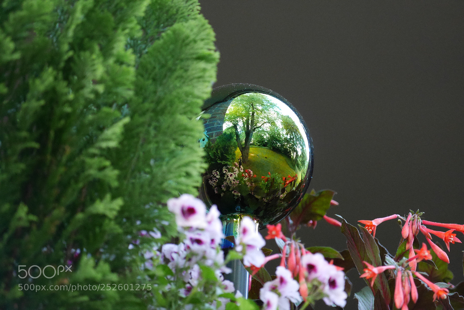 Panasonic Lumix DMC-GX7 sample photo. Mirror photography