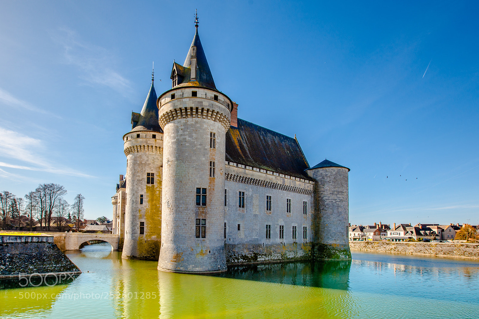 Canon EOS 5D Mark II sample photo. Chateau de sully photography