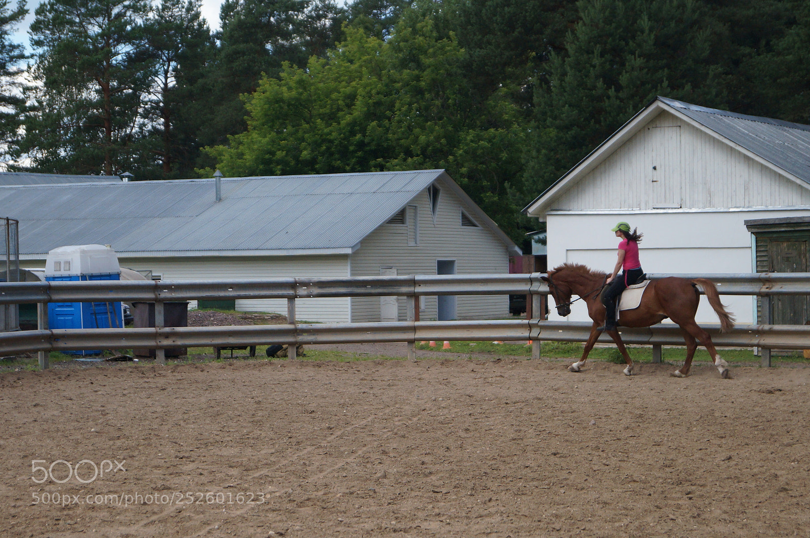 Sony SLT-A57 sample photo. Untitled photography