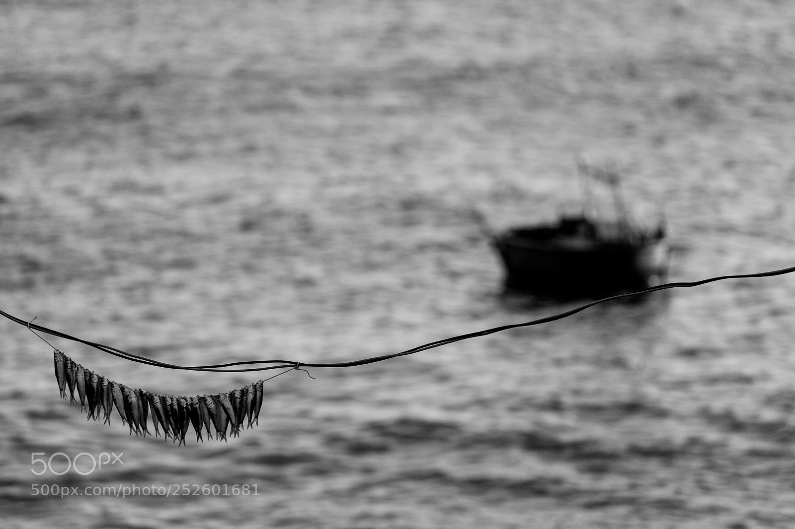 Canon EOS 5D Mark II sample photo. (of ) photography