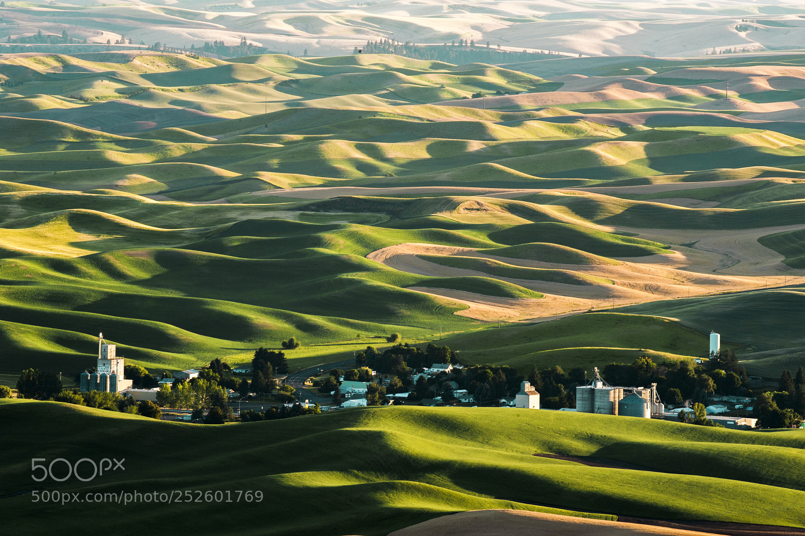 Nikon D700 sample photo. Palouse hills of wheat photography