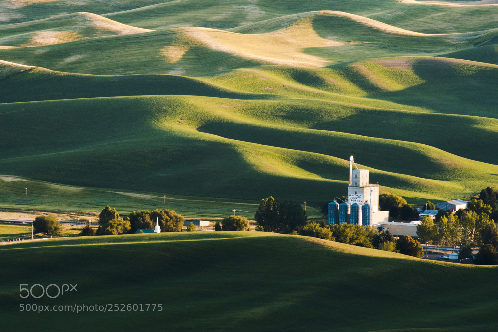Nikon D700 sample photo. Palouse hills of wheat photography