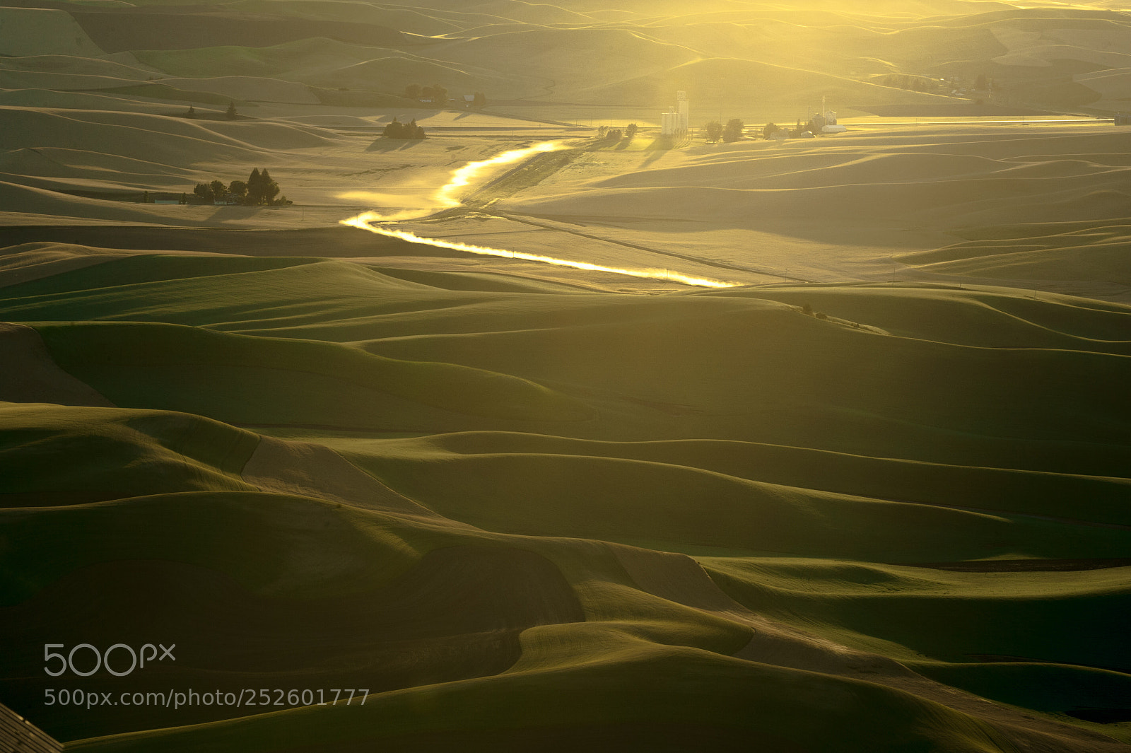Nikon D700 sample photo. Palouse hills of wheat photography