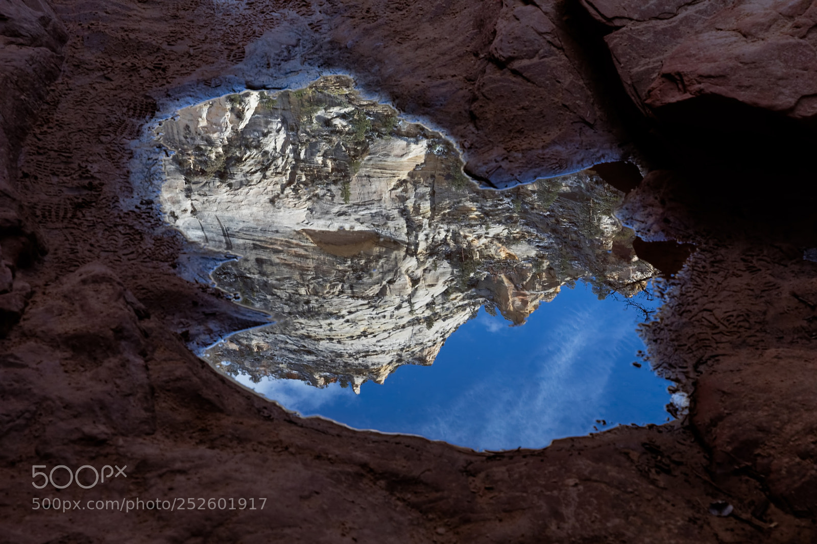 Canon EOS 5D Mark IV sample photo. Zion puddle photography