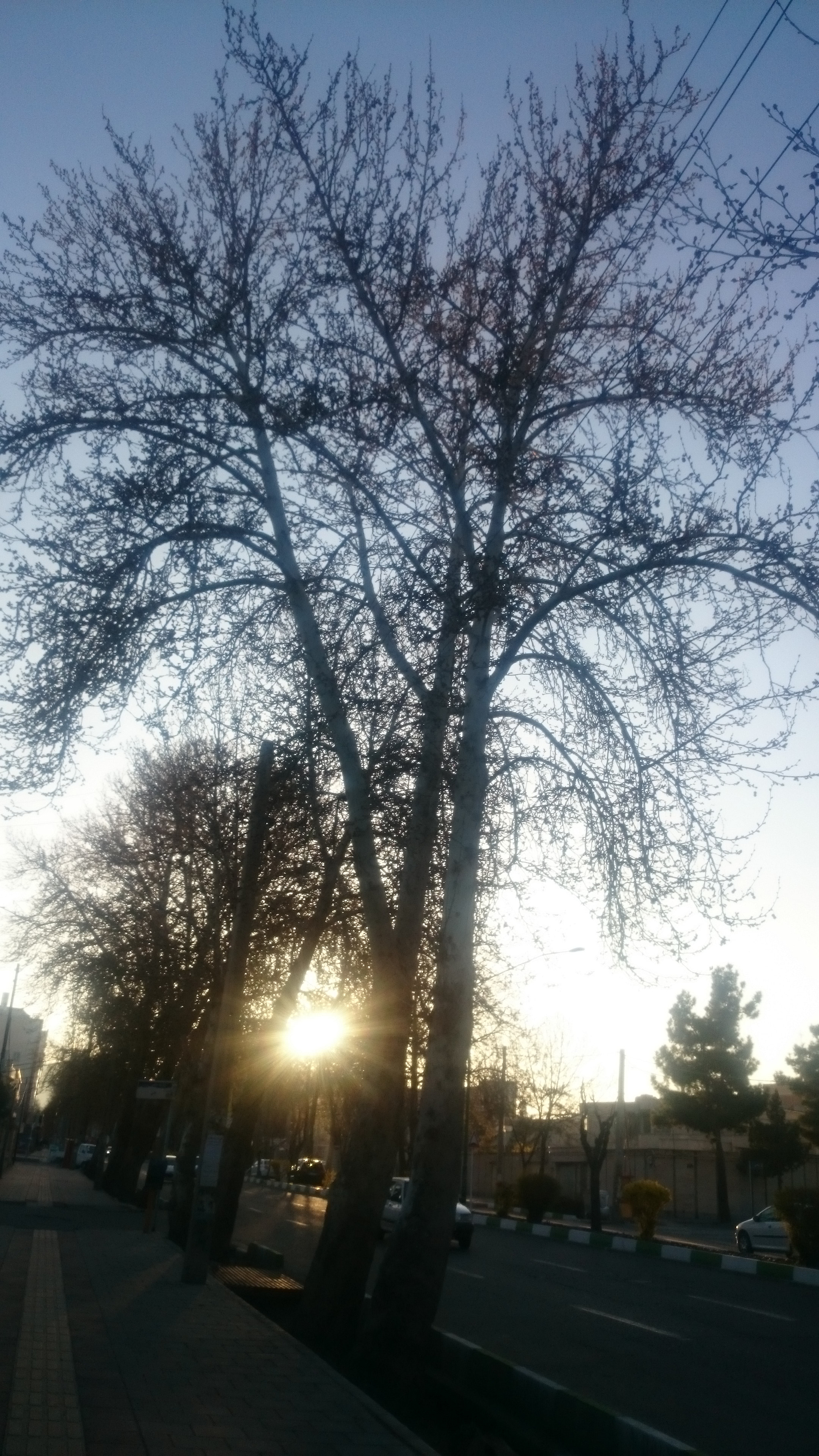 Sony Xperia Z1 Compact sample photo