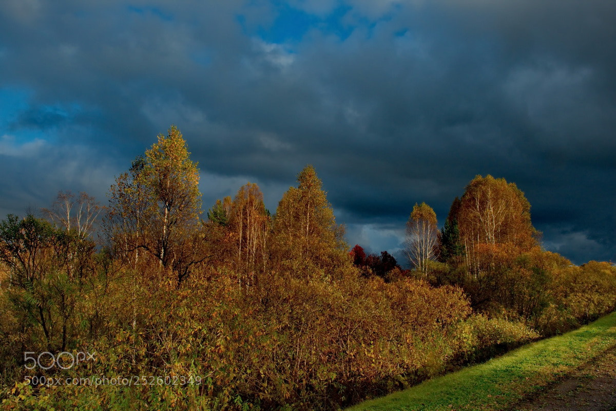 Fujifilm X-T1 sample photo. Russia. autumn weather on photography