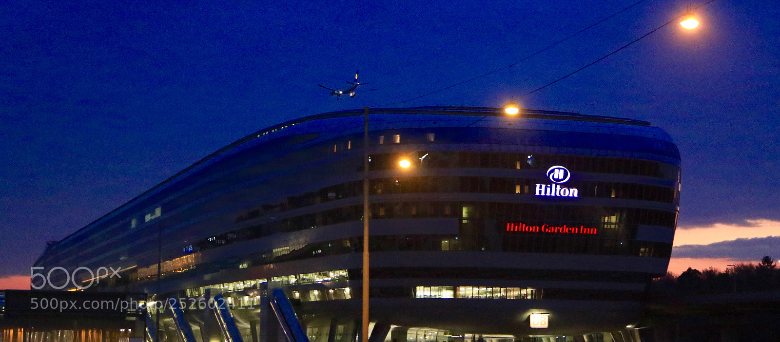 Canon EOS 7D Mark II sample photo. Landing on the roof photography