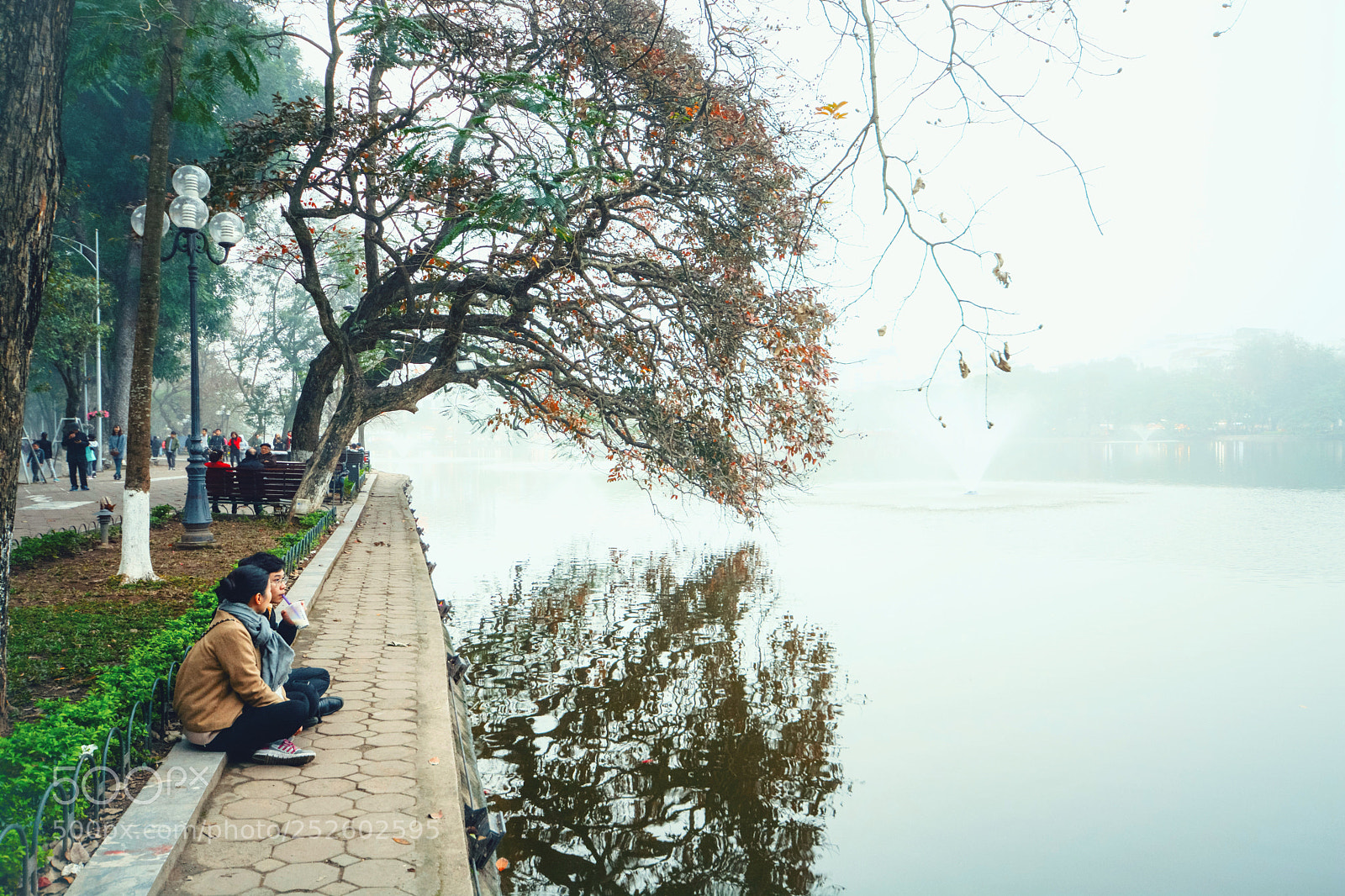 Nikon D7100 sample photo. Untitled photography