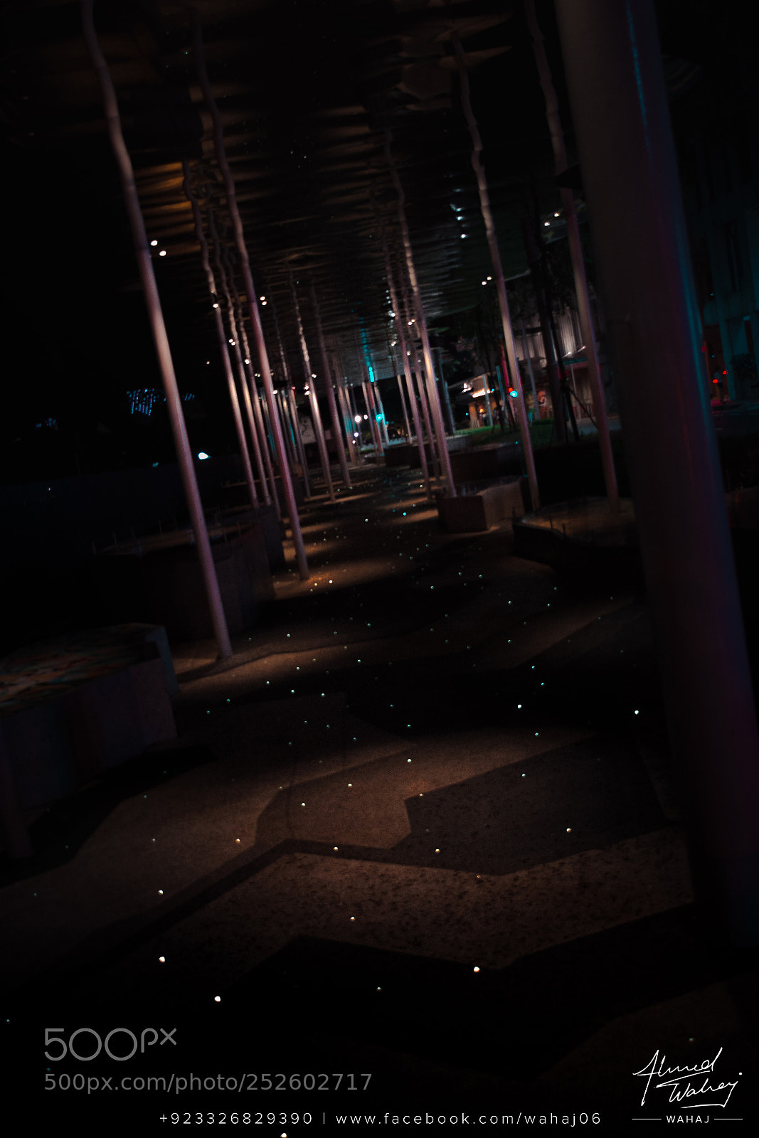 Nikon D7100 sample photo. Lights in the shadows photography