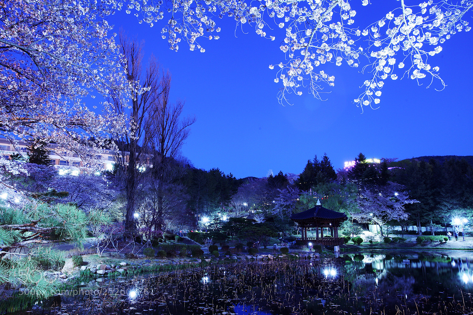 Canon EOS 5D Mark II sample photo. Bomun-jeong photography