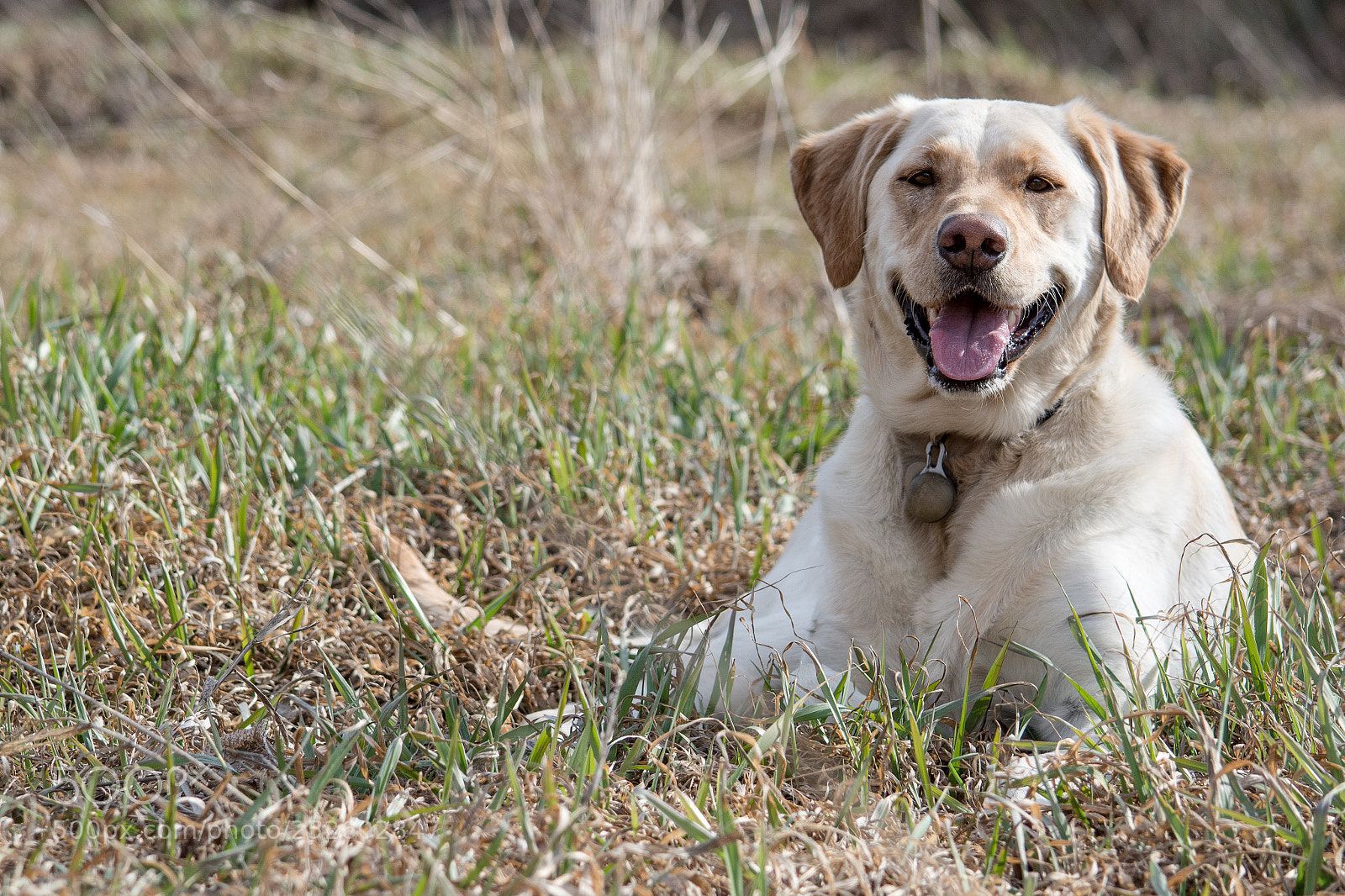 Nikon D7100 sample photo. My happy girl photography