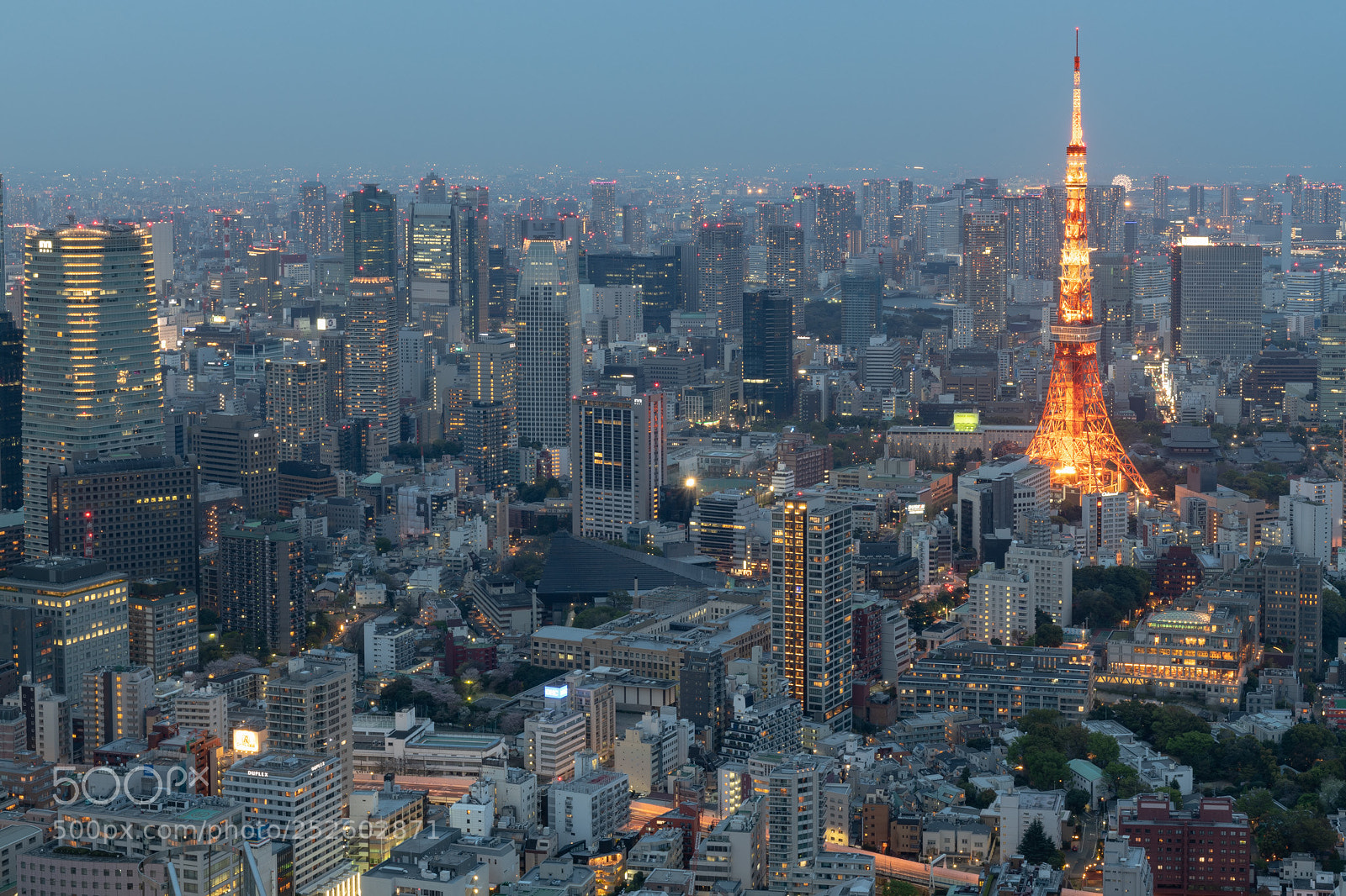 Nikon D850 sample photo. Tokyo tower night photography