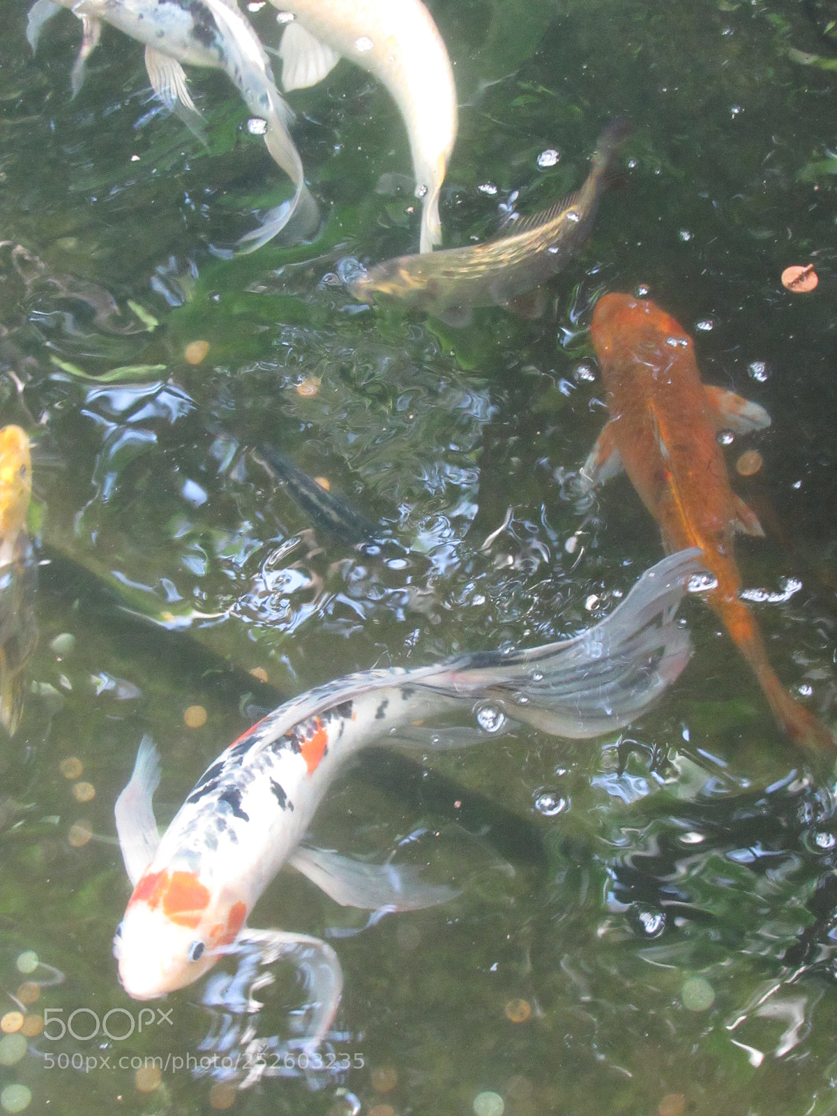 Canon PowerShot SX520 HS sample photo. Img photography