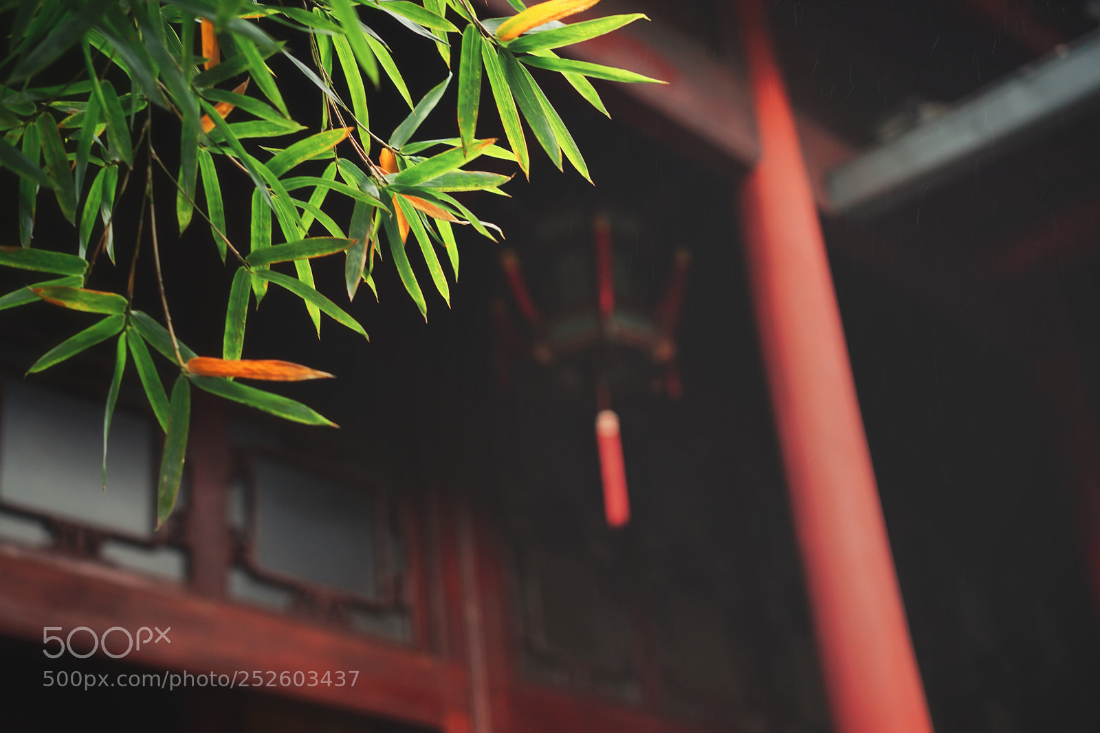 Sony a7 II sample photo. Untitled photography
