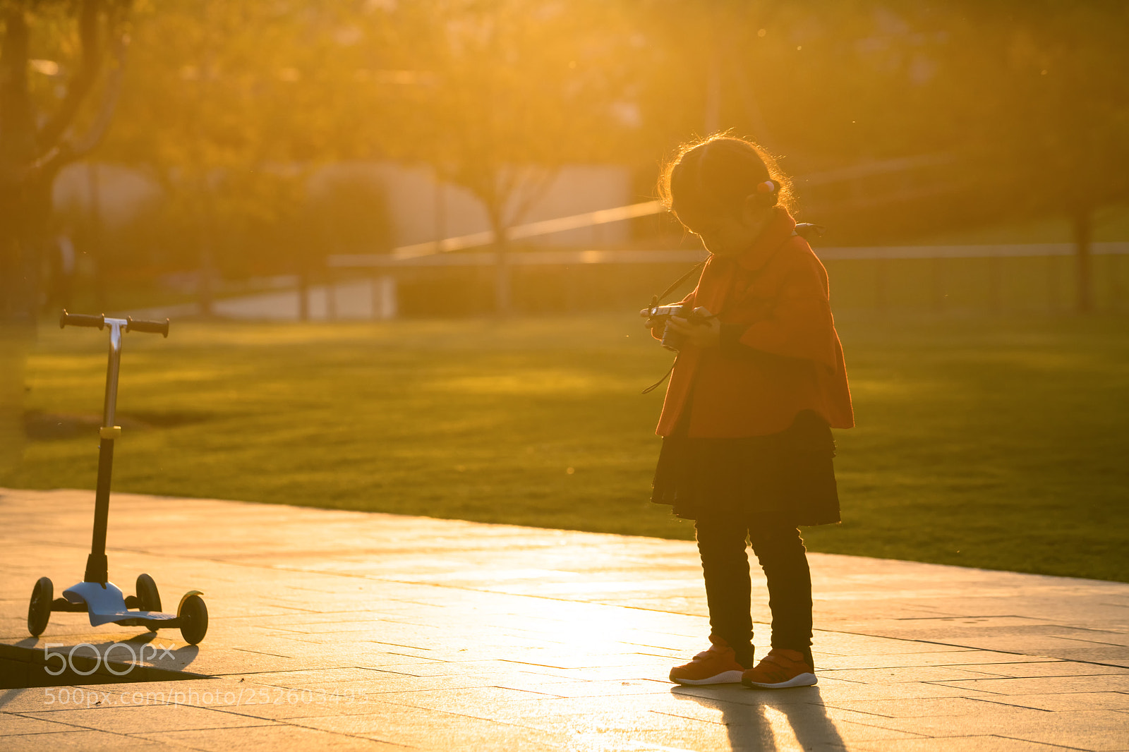 Sony a7R II sample photo. 从小爱拍照 photography