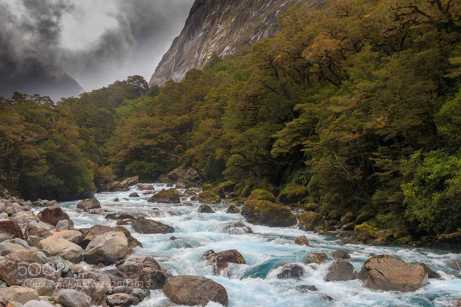 Canon EOS 70D sample photo. Misty stream photography