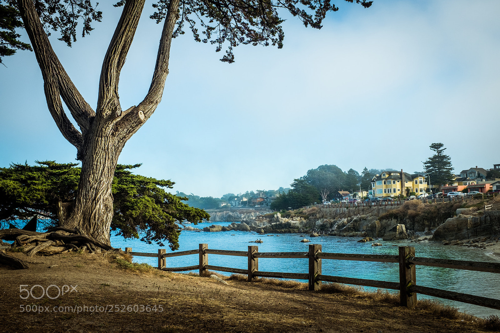 Fujifilm X100T sample photo. Lovers point park photography