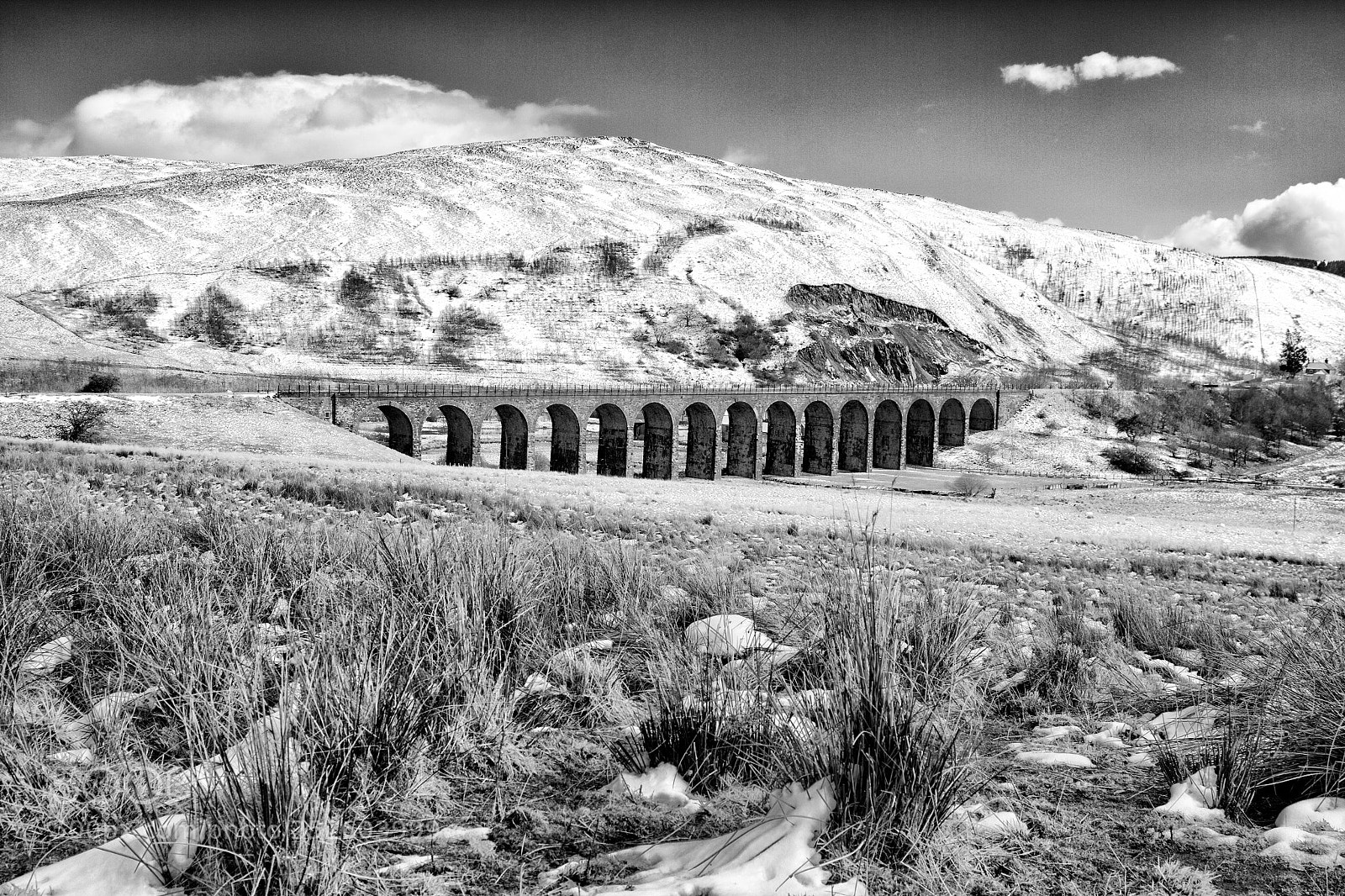 Canon EOS 50D sample photo. Shankend viaduct photography