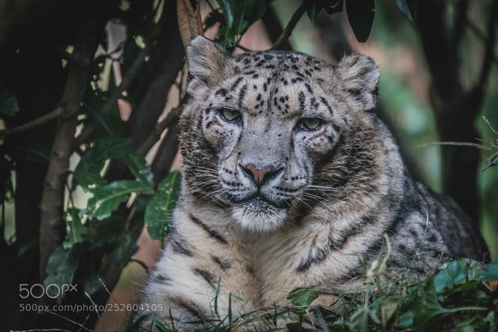 Canon EOS 80D sample photo. Untitled photography