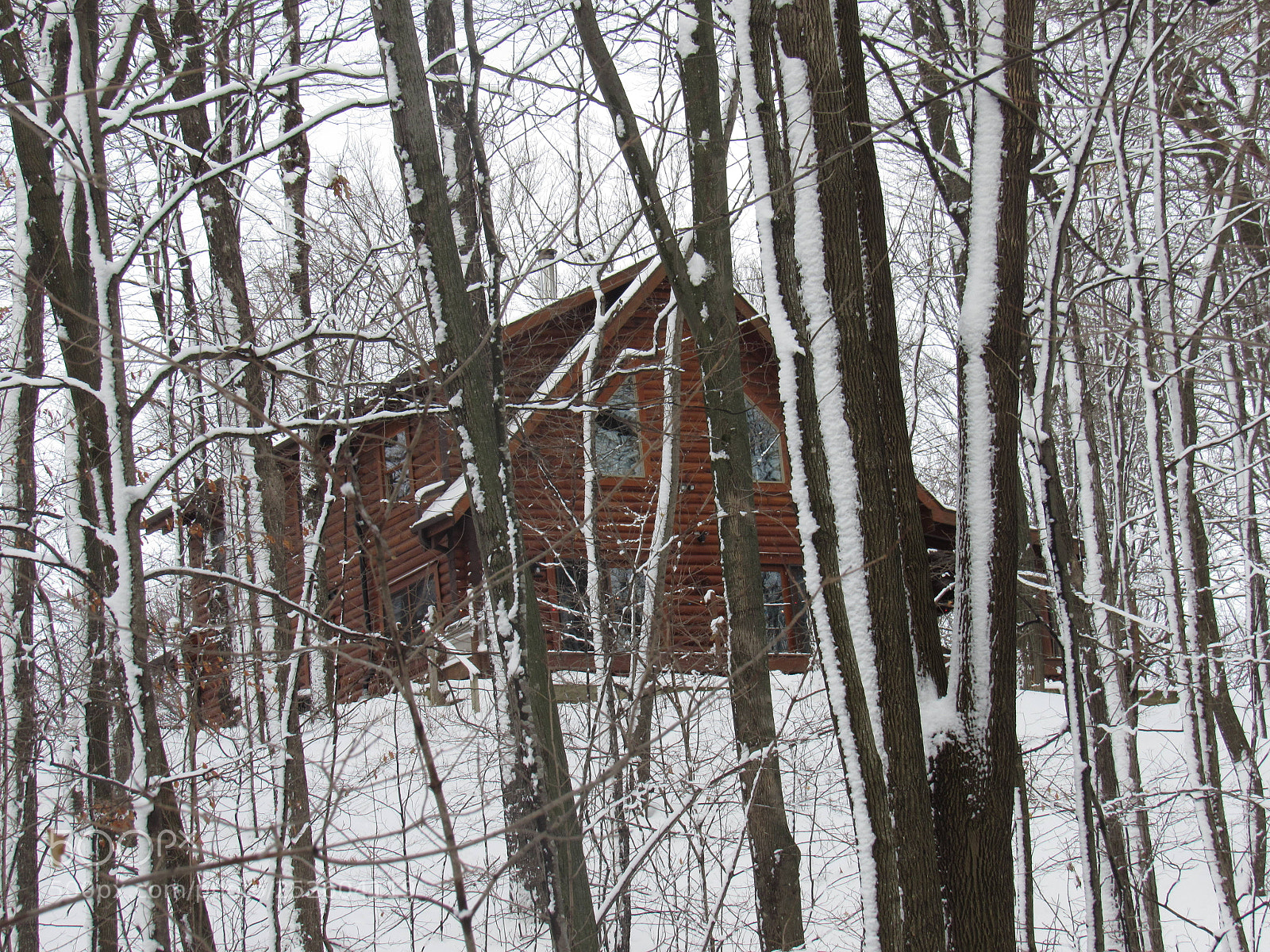 Canon PowerShot SX520 HS sample photo. Img photography