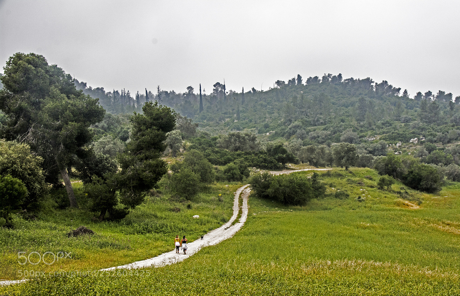 Nikon D7100 sample photo. Somewhere in israel. photography
