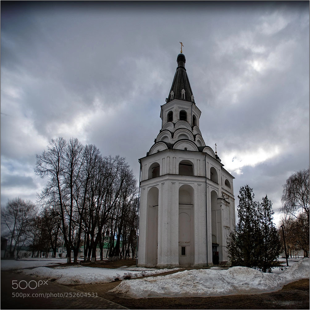 Nikon D850 sample photo. Aleksandrov photography