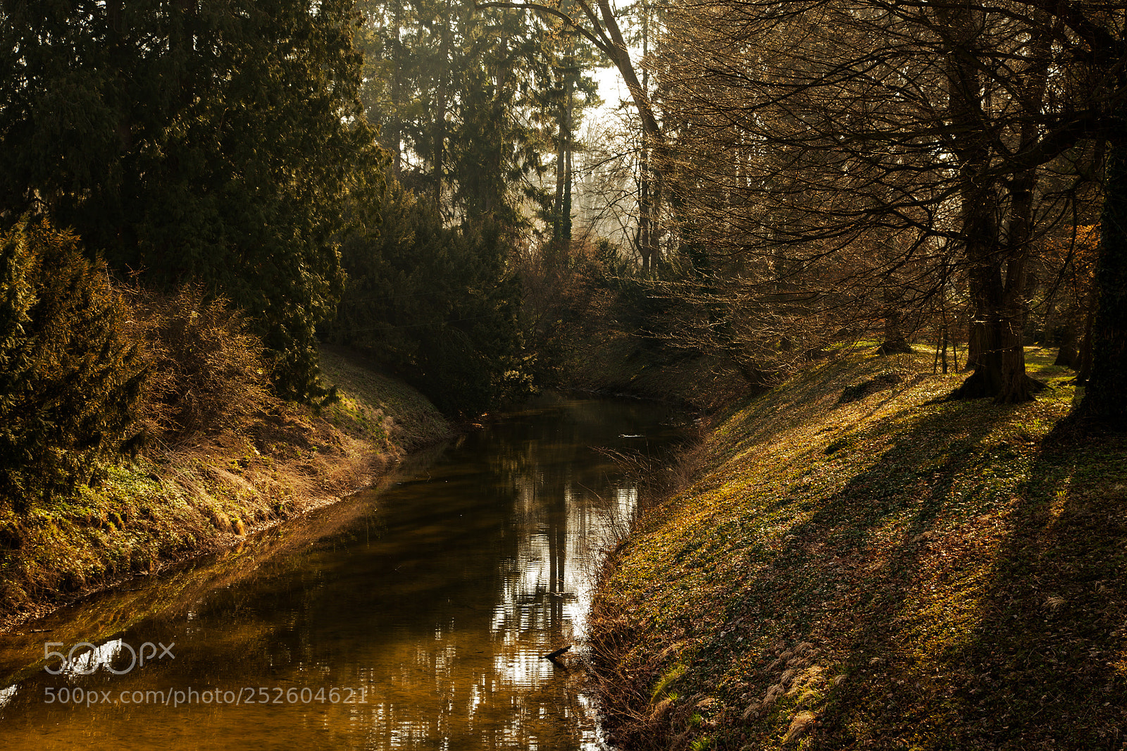 Canon EOS 6D Mark II sample photo. U řeky photography