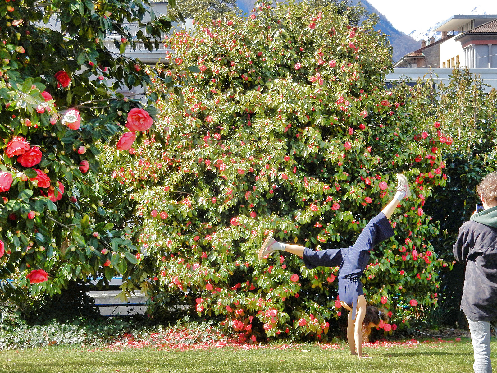 Nikon Coolpix S9900 sample photo. Locarno, everybody is in photography
