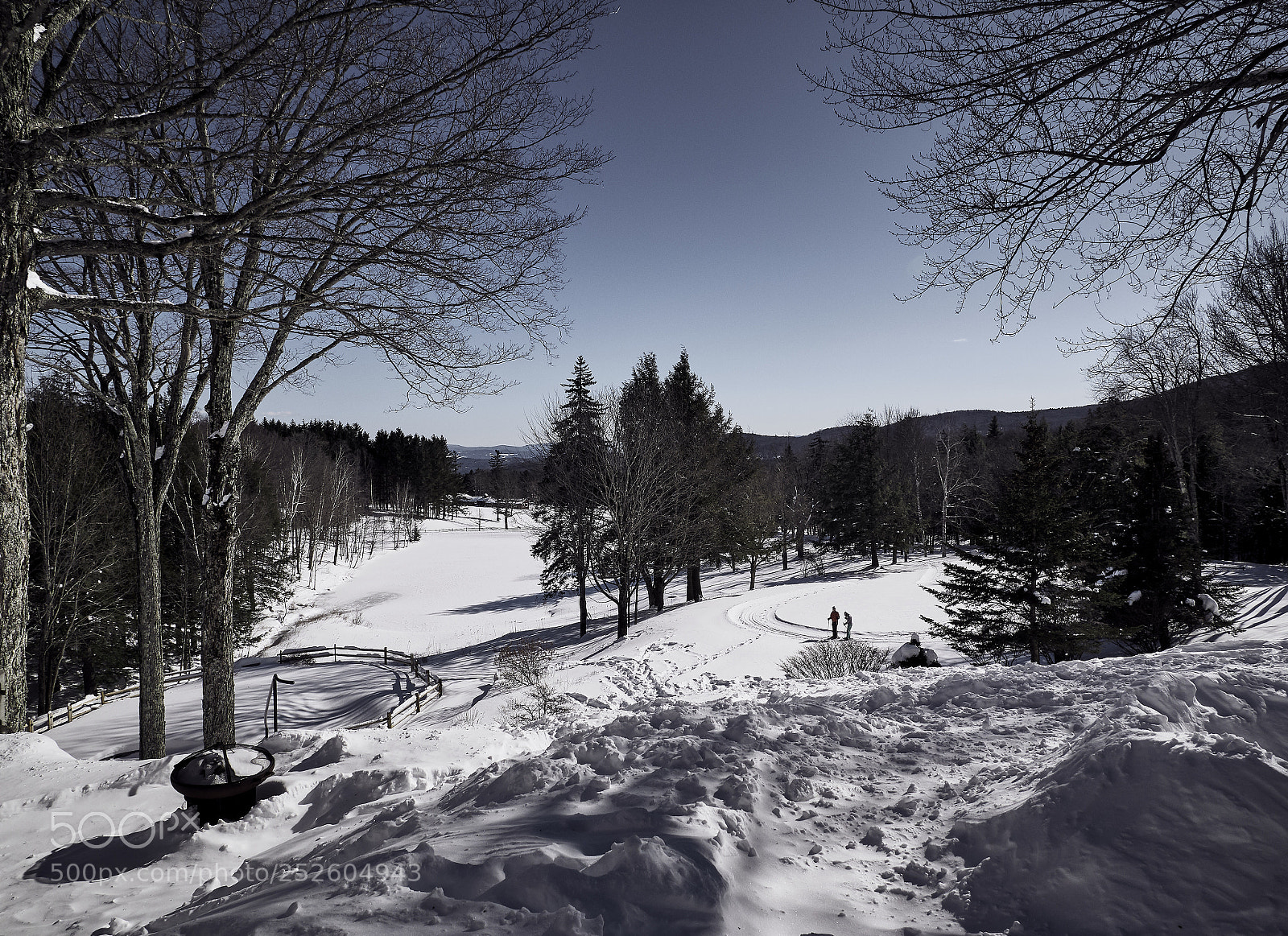 Panasonic Lumix DMC-G85 (Lumix DMC-G80) sample photo. Winter escapes 3 photography