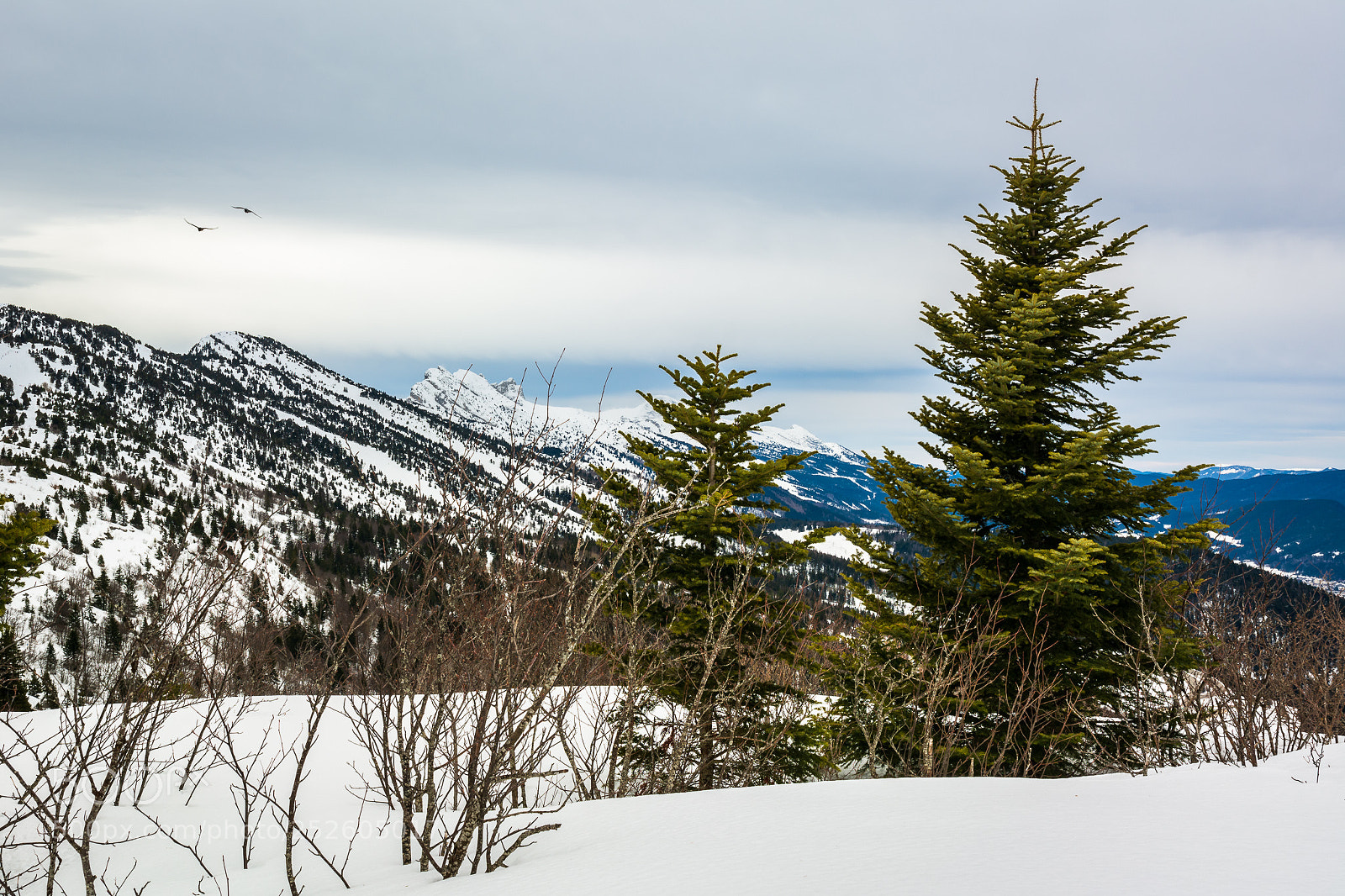 Nikon D7100 sample photo. Vercors landscape photography