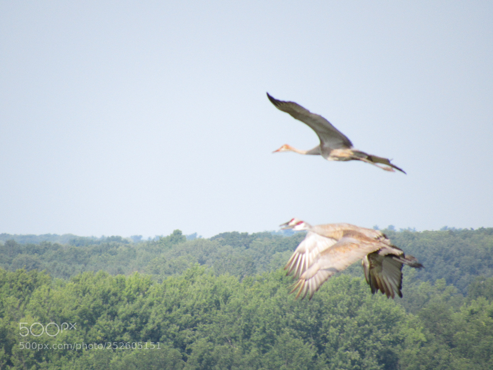 Canon PowerShot SX520 HS sample photo. Img photography