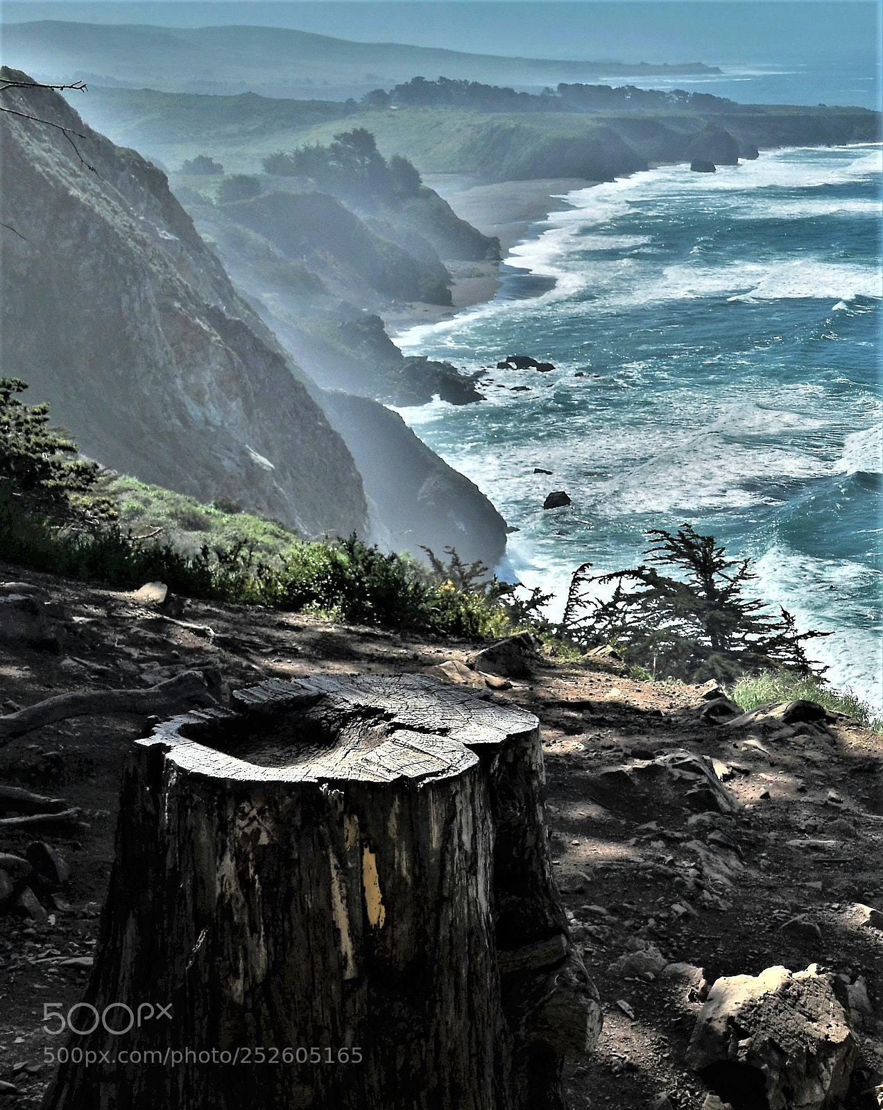 Nikon D5100 sample photo. Pacific coast highway photography