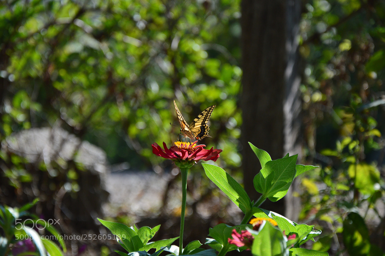 Nikon D3200 sample photo. Untitled photography