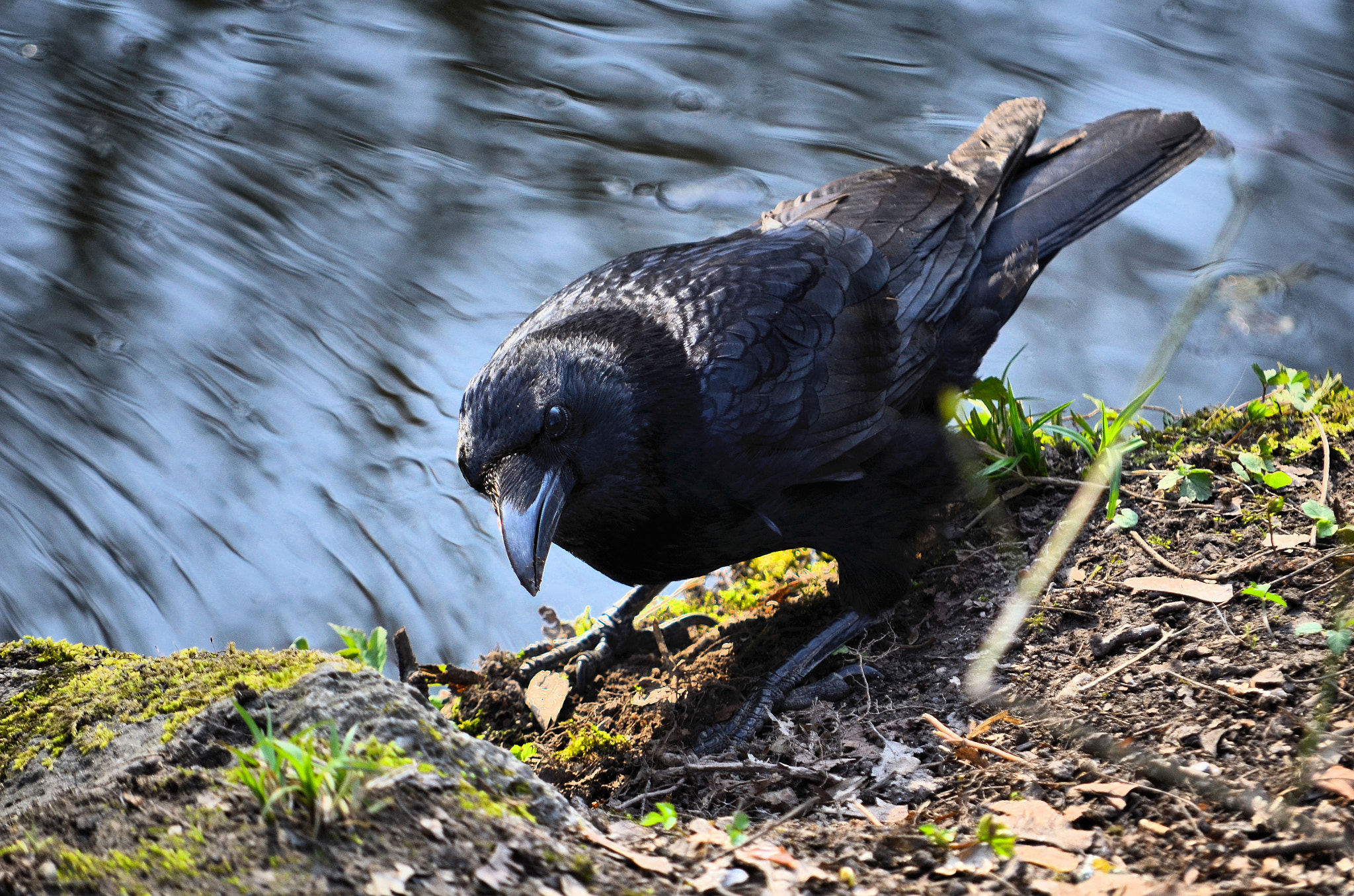Nikon D5100 sample photo. Skepsis photography