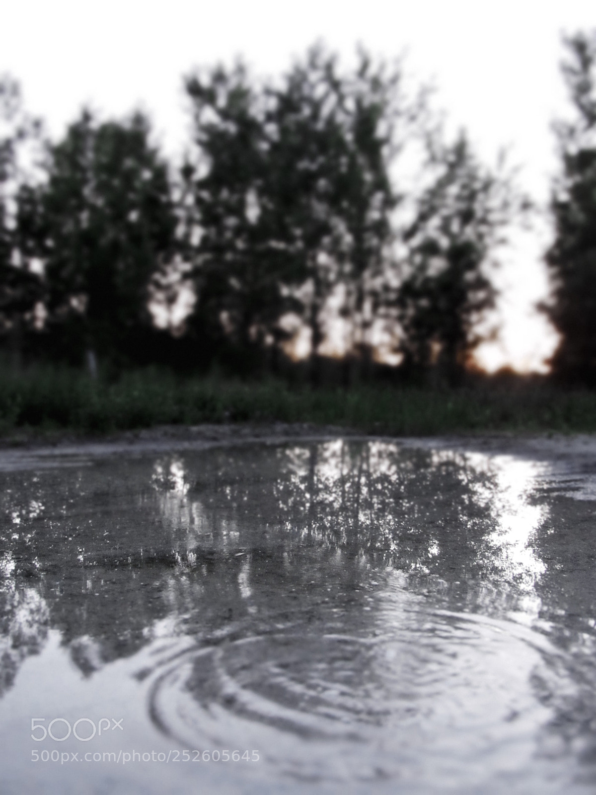Canon PowerShot SX520 HS sample photo. Img photography