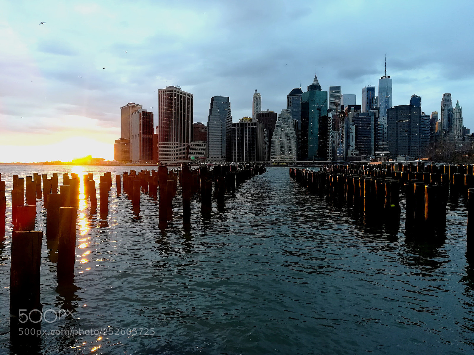 HUAWEI honor 6x sample photo. Brooklyn photography