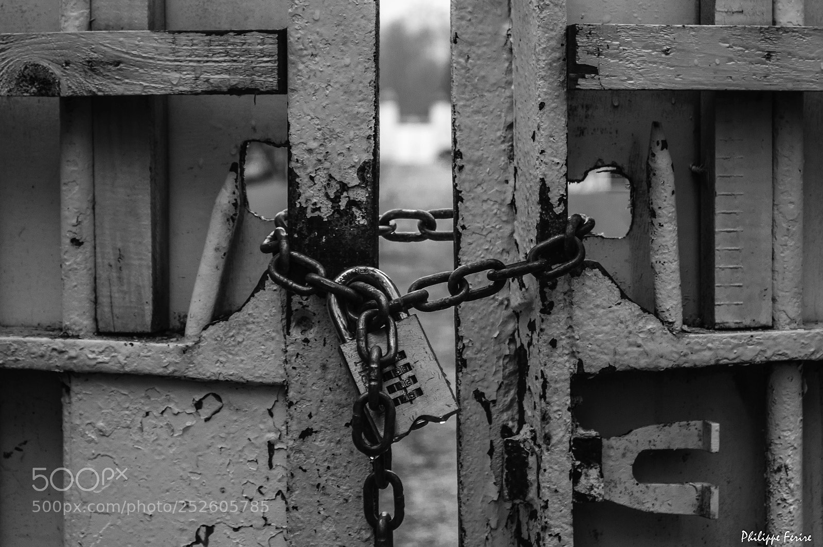 Nikon D3200 sample photo. Espoir / hope photography