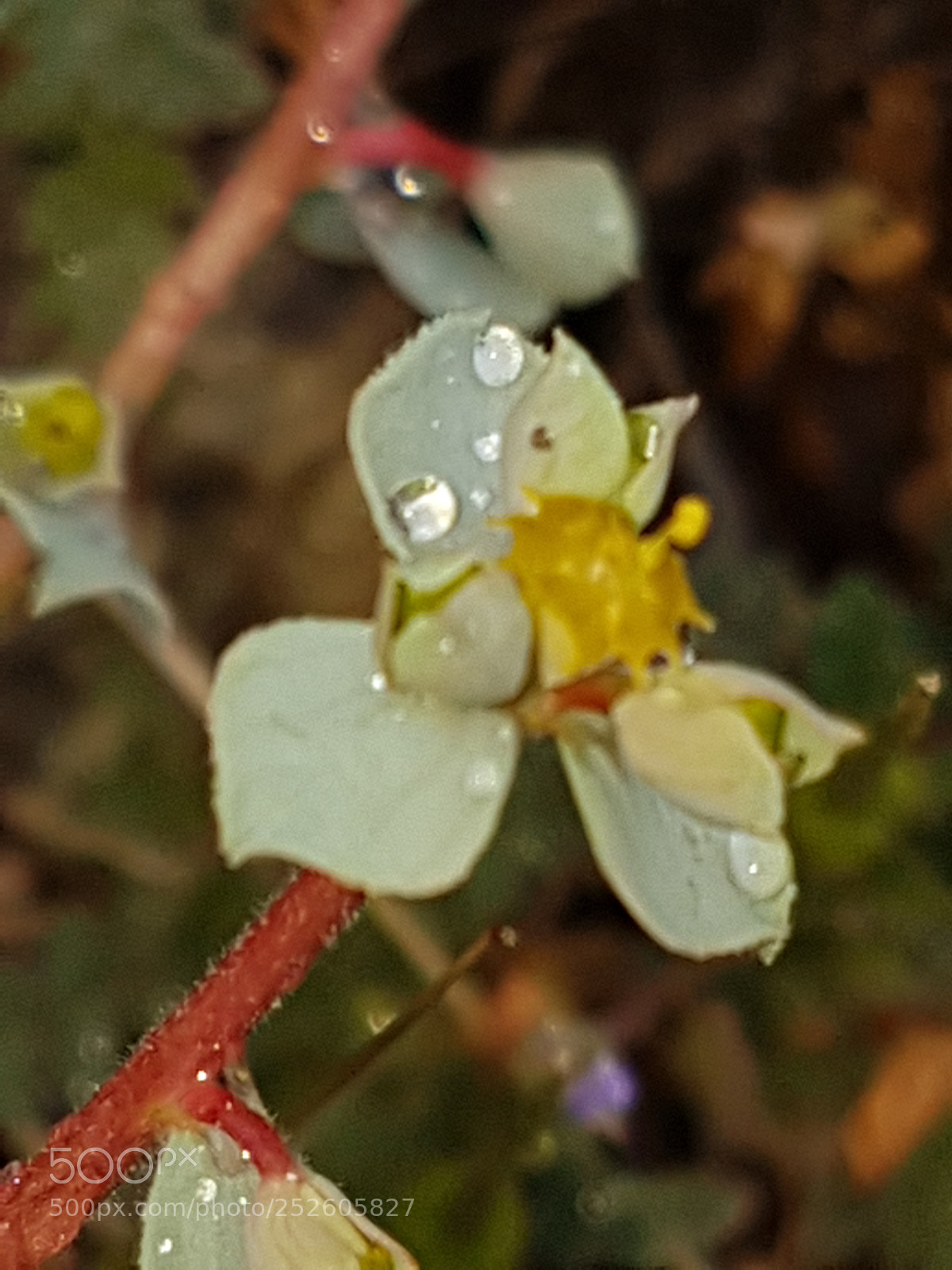 Samsung Galaxy S7 Edge sample photo. Untitled photography