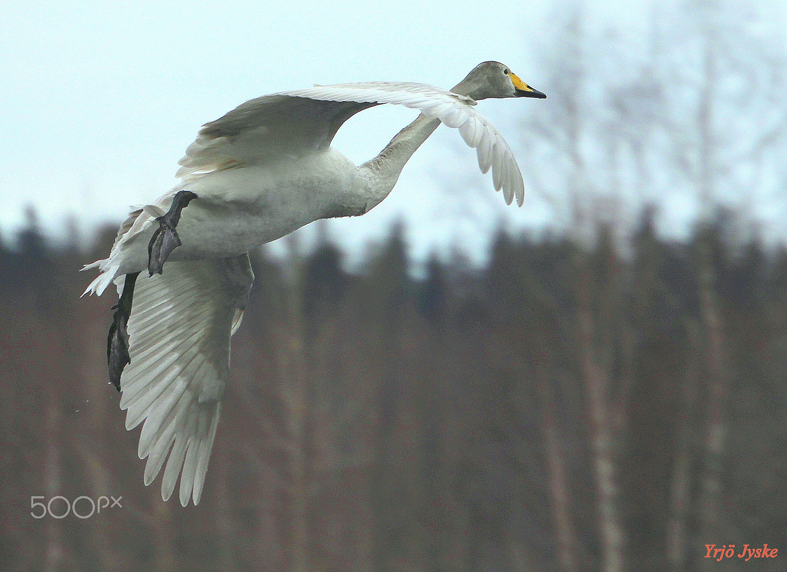 Canon EOS 700D (EOS Rebel T5i / EOS Kiss X7i) sample photo. I`m coming..... photography