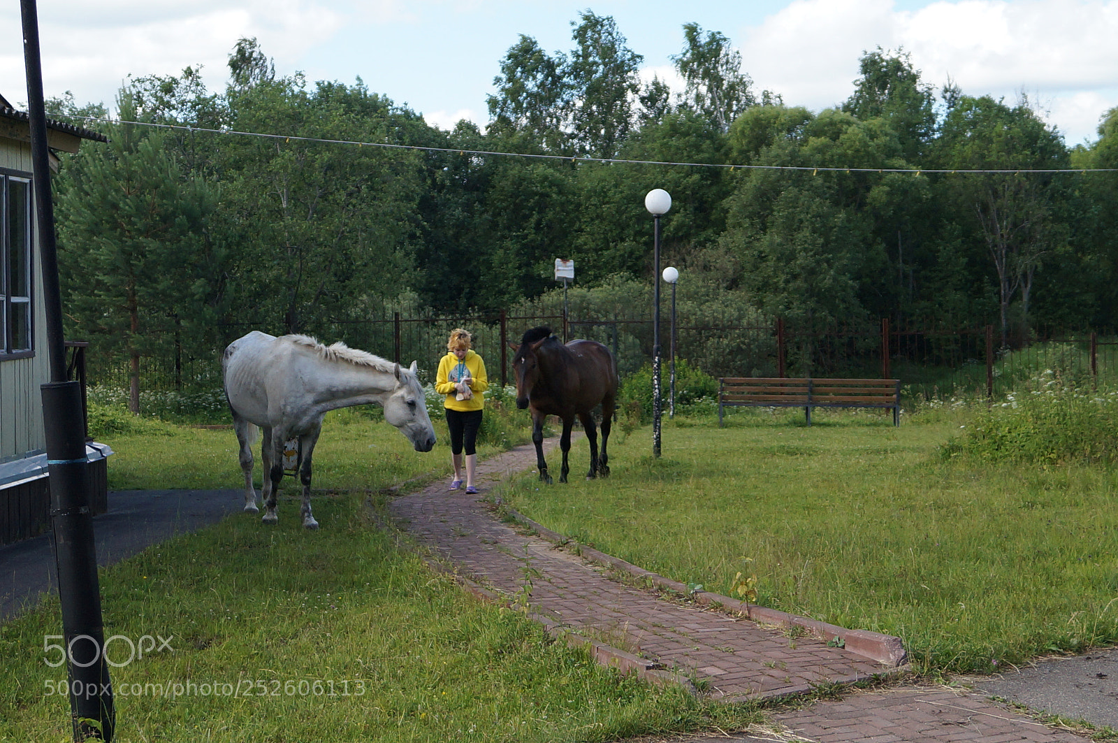 Sony SLT-A57 sample photo. Untitled photography