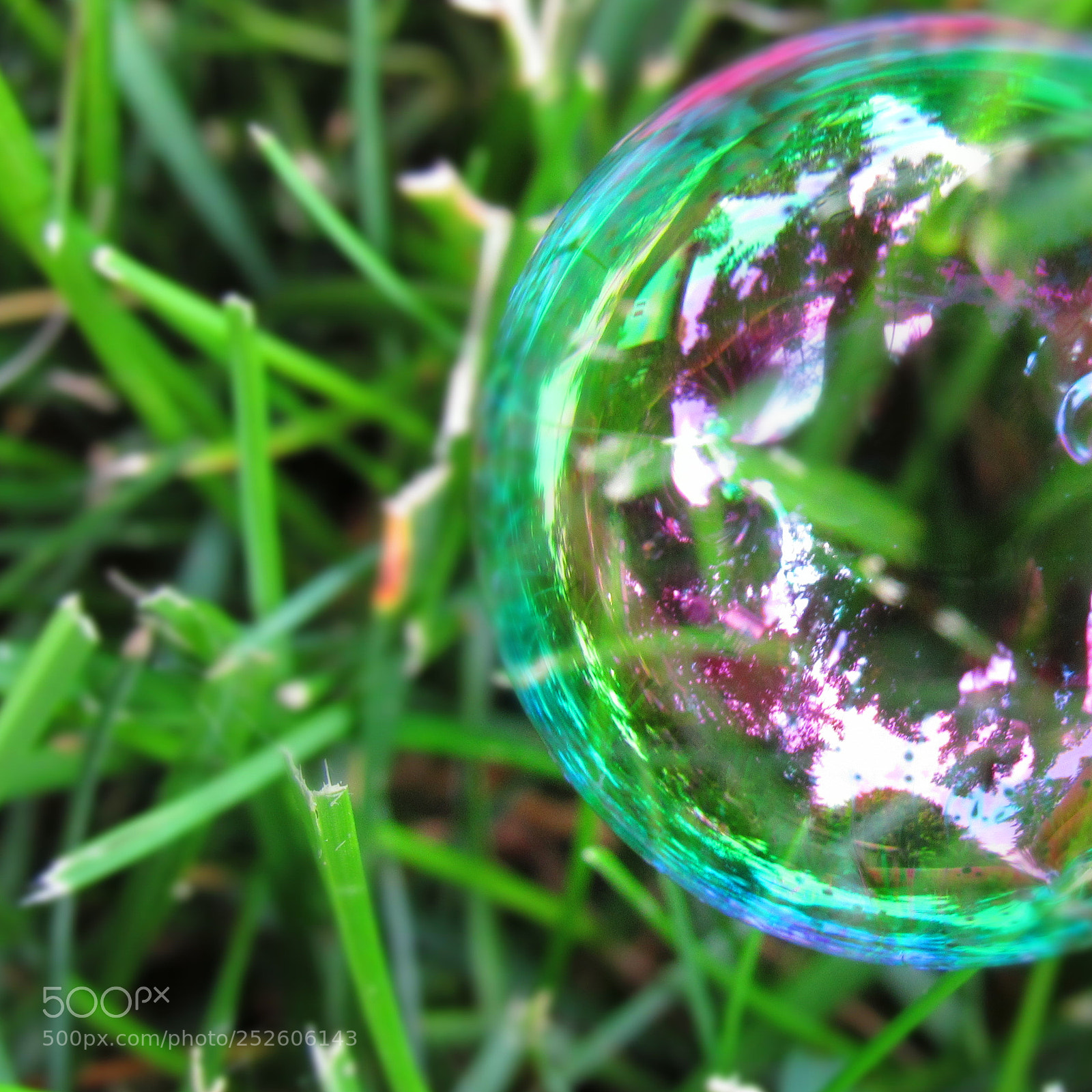 Canon PowerShot SX520 HS sample photo. Img photography