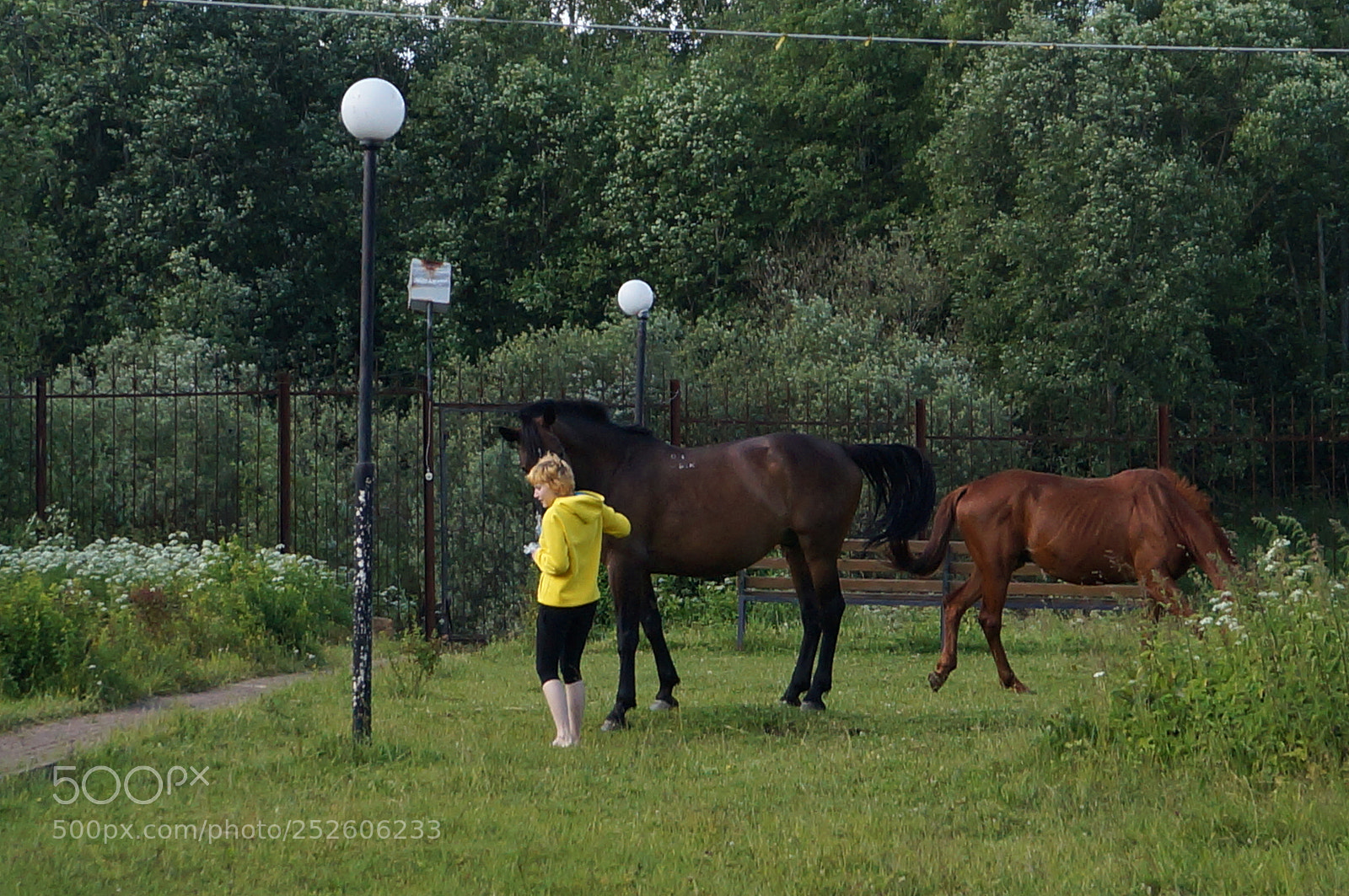 Sony SLT-A57 sample photo. Untitled photography