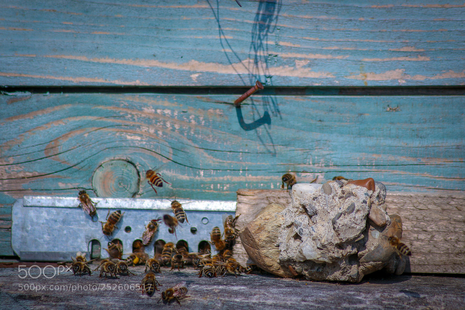 Canon EOS 70D sample photo. Untitled photography