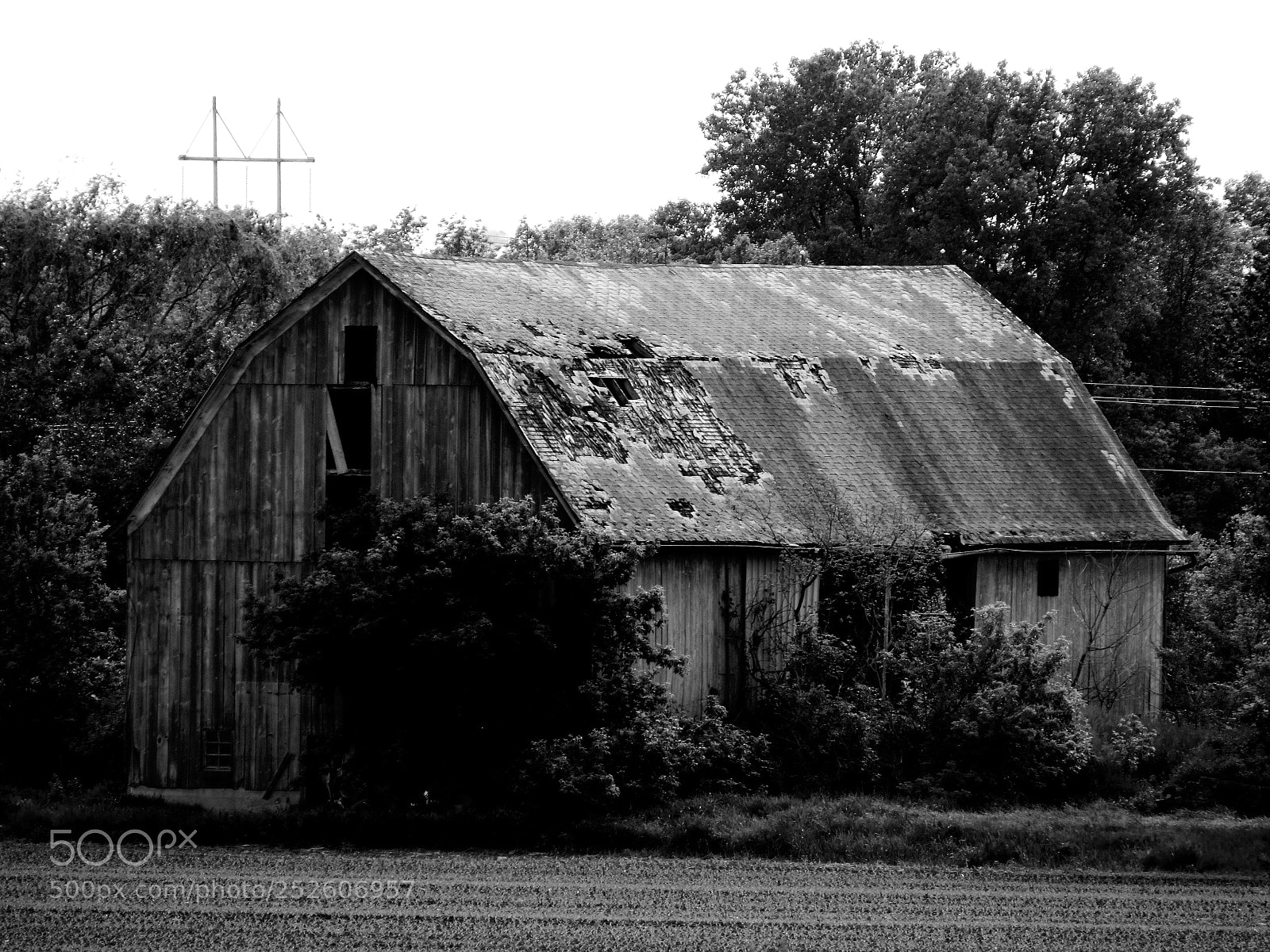 Canon PowerShot SX520 HS sample photo. Img photography