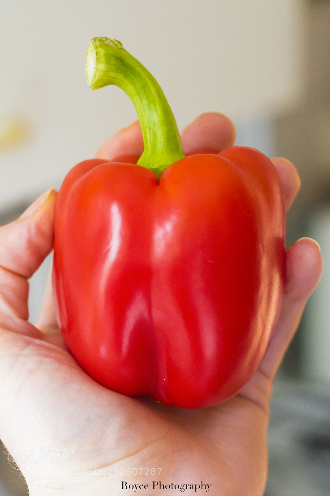 Nikon D5600 sample photo. Paprika in a hand photography