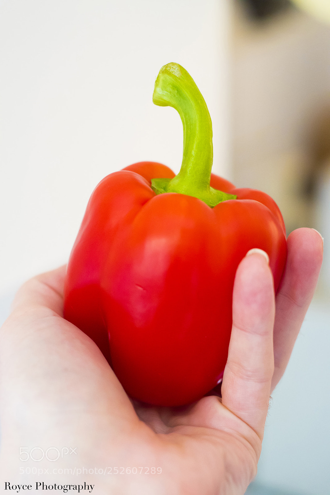 Nikon D5600 sample photo. Paprika in a hand photography